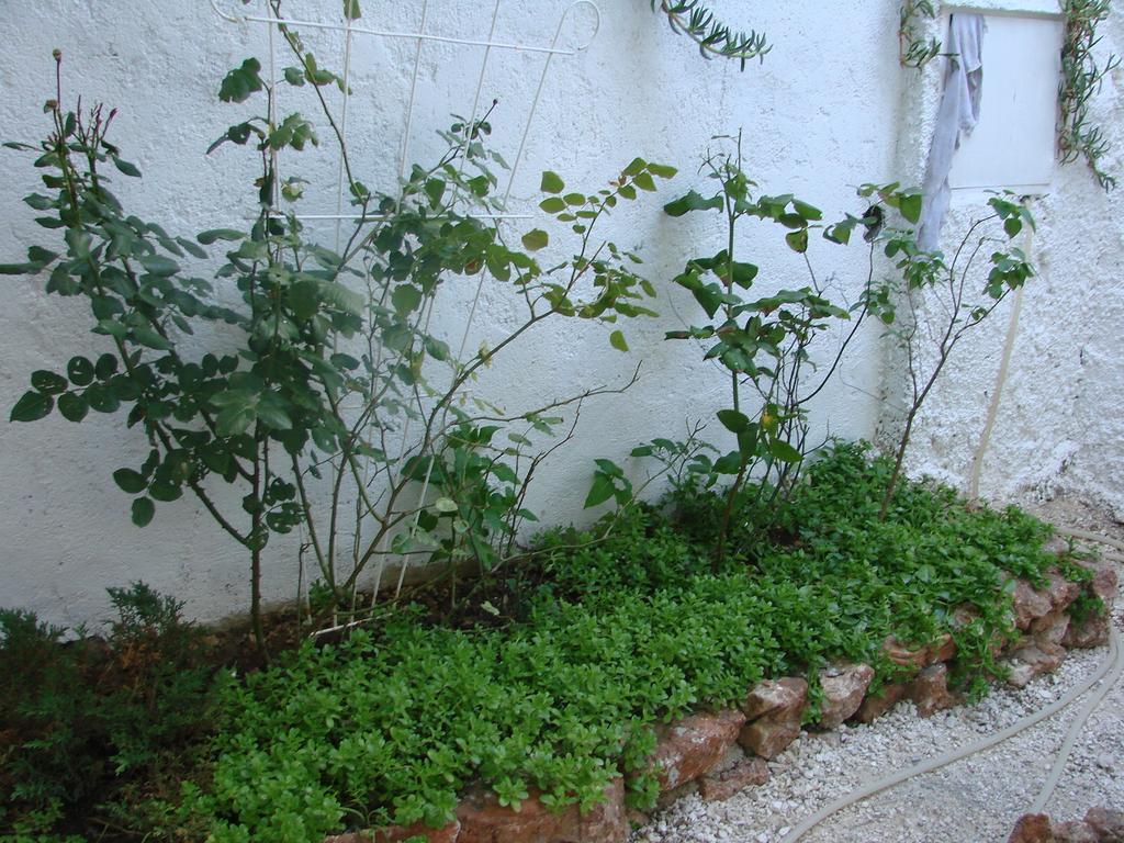 בול Apartman Restovic מראה חיצוני תמונה