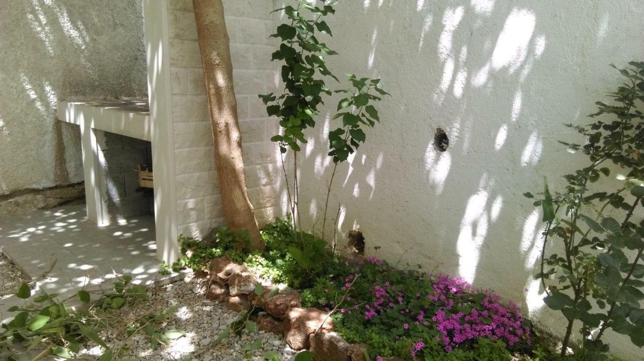 בול Apartman Restovic מראה חיצוני תמונה